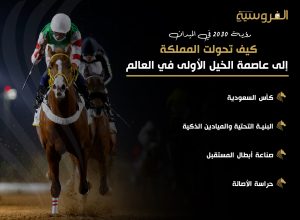 رؤية 2030 في الميدان