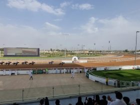 كأس الشفا يرفع وتيرة المنافسة في أمسية الطائف الـ12