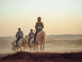 نجوم شابة تستعد لتحدي بطولة العالم للقدرة والتحمل