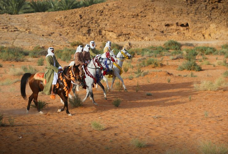 الخيل العربية الأصيلة.. ثروة سعودية تتجه إلى العالمية