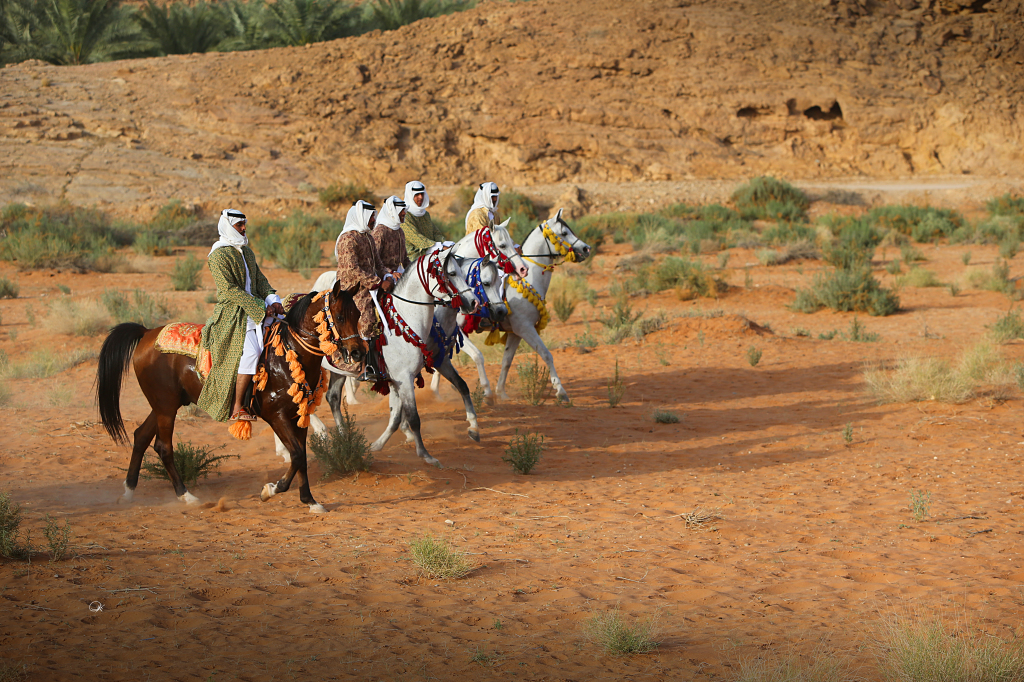 الخيل العربية الأصيلة.. ثروة سعودية تتجه إلى العالمية
