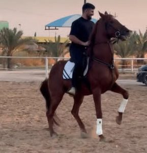 الفارس العراقي الفهد فراس