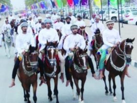 حصان هارب يربك حركة المرور في صلالة قبل السيطرة عليه