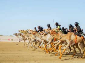 قطر تفتح باب التسجيل للسباق المحلي الأول