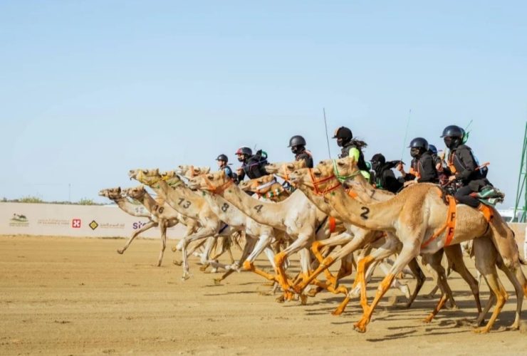 قطر تفتح باب التسجيل للسباق المحلي الأول