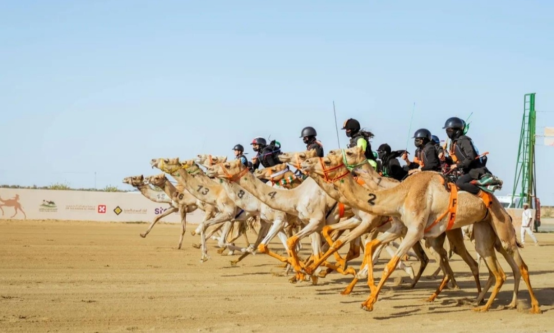 قطر تفتح باب التسجيل للسباق المحلي الأول