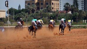 سباق أوغاريت للخيول العربية الأصيلة