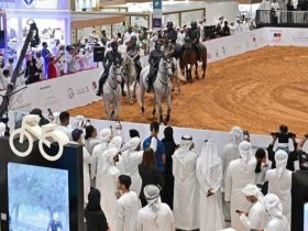 مزاد الخيول يضيف بعدًا جديدًا إلى معرض أبوظبي للصيد والفروسية