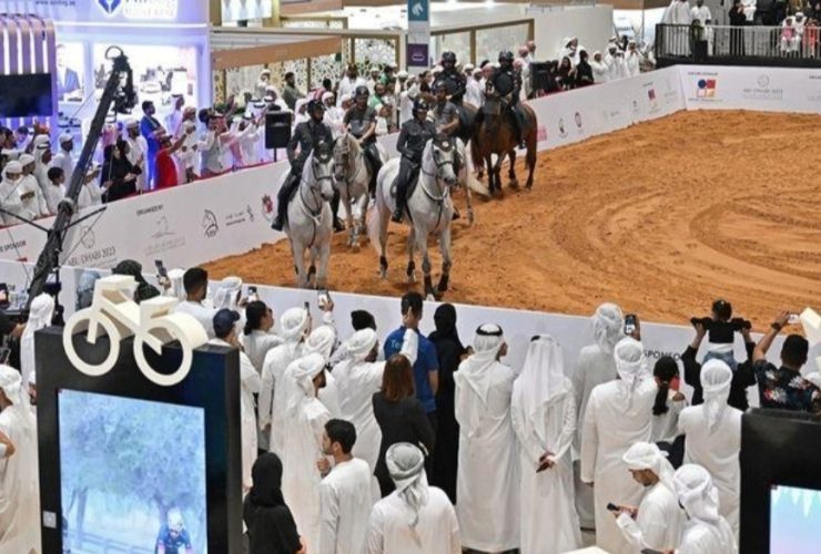 مزاد الخيول يضيف بعدًا جديدًا إلى معرض أبوظبي للصيد والفروسية