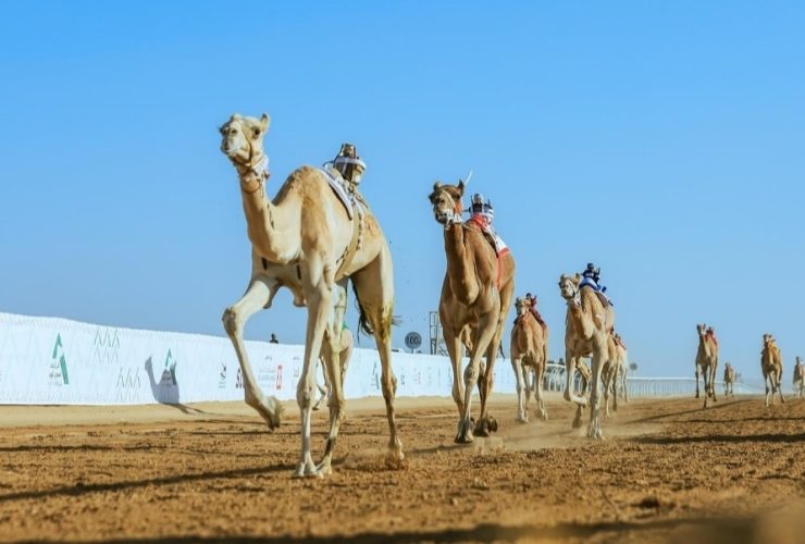 من أجواء السباق