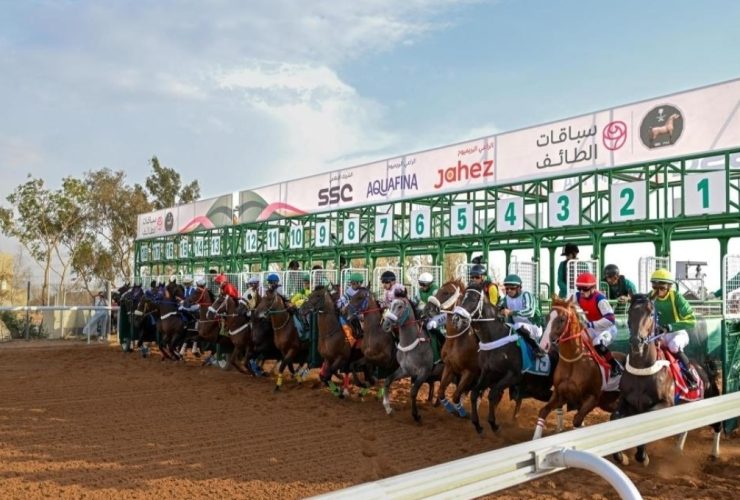 كأس الطائف للسرعة يختبر جيلًا جديدًا من خيول السباق