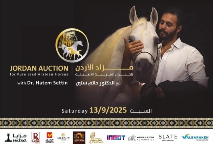 مزاد الخيول يعود إلى الأردن بمشاركة عربية أوسع