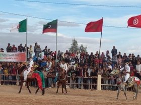 دعوات لإنقاذ مهرجان الجواد العربي الأصيل في المكناسي