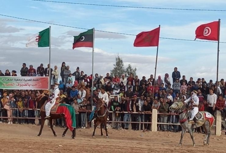 دعوات لإنقاذ مهرجان الجواد العربي الأصيل في المكناسي