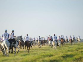 60 سباقاً تضع الإمارات أمام موسم استثنائي في القدرة والتحمل