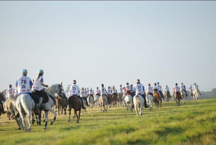 60 سباقاً تضع الإمارات أمام موسم استثنائي في القدرة والتحمل