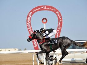 25 سباقًا ترسم موسم الخيل العُماني حتى ربيع 2027