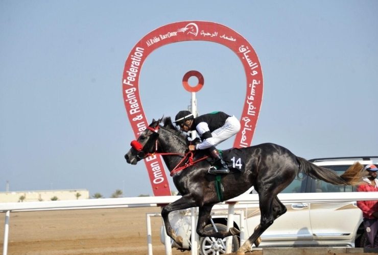 25 سباقًا ترسم موسم الخيل العُماني حتى ربيع 2027