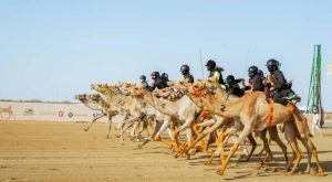 جاءت الإمارات في المركز الثاني بخمسة انتصارات