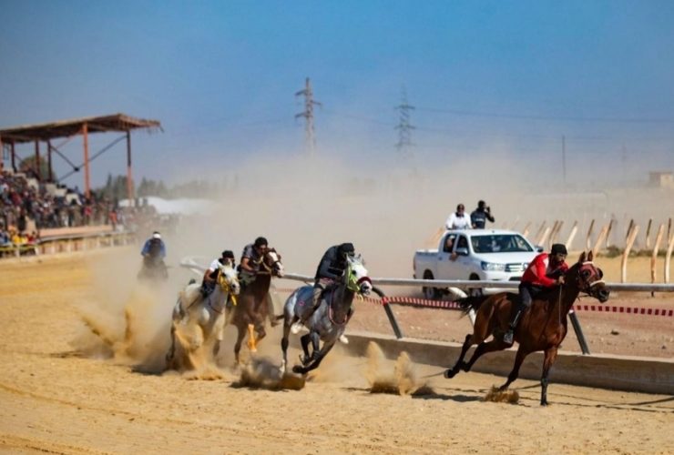 في ريف الرقة.. الخيل العربي بين إرث العائلة وتحديات البقاء
