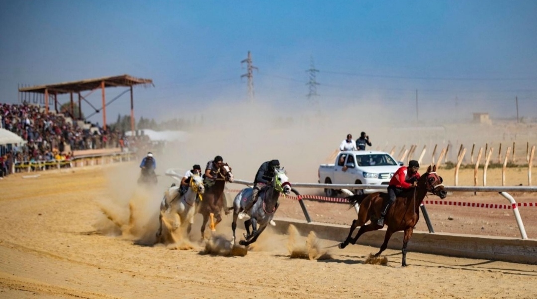 في ريف الرقة.. الخيل العربي بين إرث العائلة وتحديات البقاء