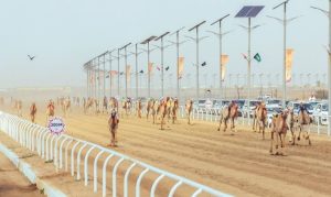 يعكس مهرجان ولي العهد للهجن توسع الرياضة في المملكة