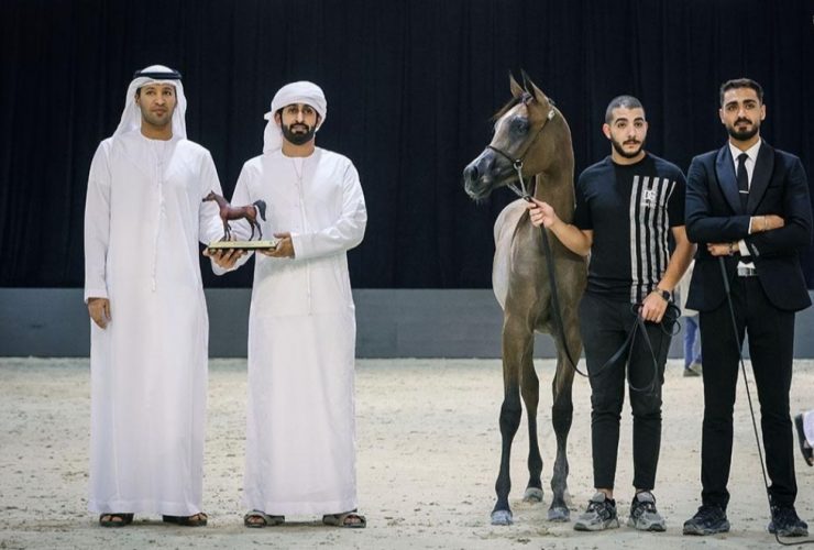 "مزيون الأوصاف" يحتفي بأسماء الخيل العربية ويجمع بين الفروسية واللغة