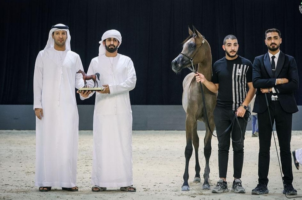 "مزيون الأوصاف" يحتفي بأسماء الخيل العربية ويجمع بين الفروسية واللغة