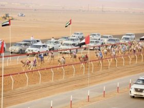 «أريام» تفتتح منافسات الإيذاع في مهرجان العين للهجن