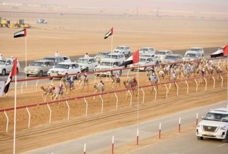 «أريام» تفتتح منافسات الإيذاع في مهرجان العين للهجن