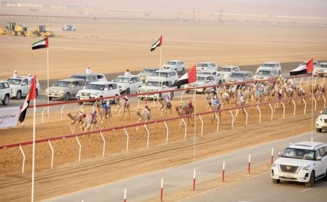 «أريام» تفتتح منافسات الإيذاع في مهرجان العين للهجن