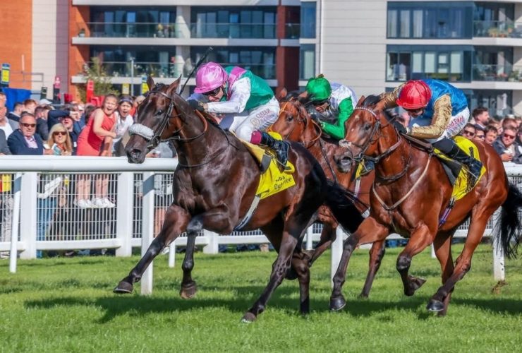 سباقات الخيل في أوربا