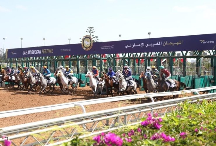 الدار البيضاء تستضيف المهرجان المغربي الإماراتي لسباقات الخيل
