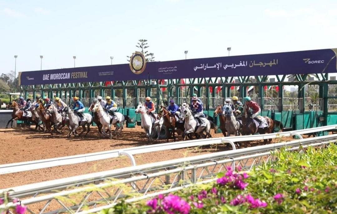 الدار البيضاء تستضيف المهرجان المغربي الإماراتي لسباقات الخيل