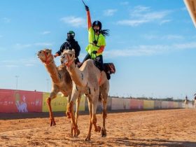 من ميدان السباق إلى الجمهور.. الهجانة تحضر في احتفالات اليوم الوطني بالجنادرية