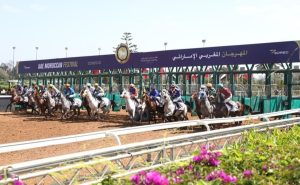 أقيم المهرجان بتنظيم الشركة الملكية لتشجيع الفرس "SOREC