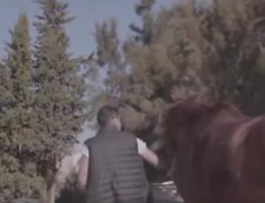 الفارس التونسي محمد رؤوف الشايبي مع حصان