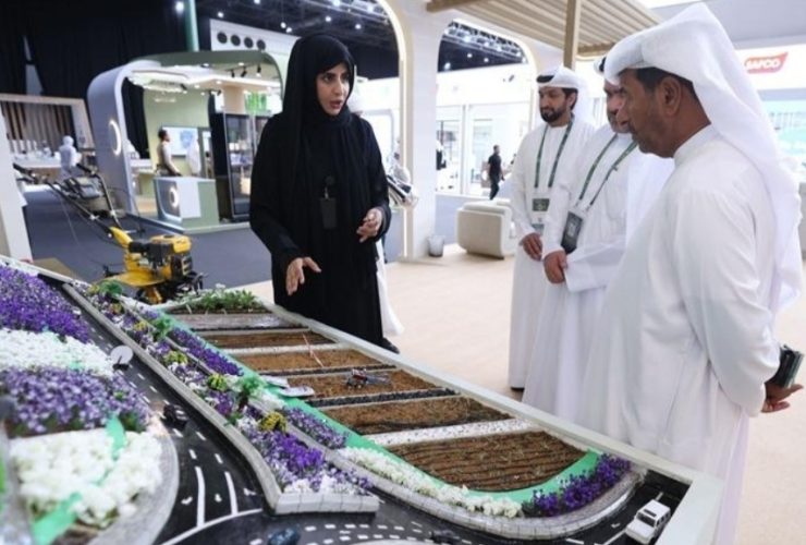 من الهجن إلى الزراعة الذكية.. كيف تدفع الشركات الناشئة اقتصاد العين نحو الرقمنة؟