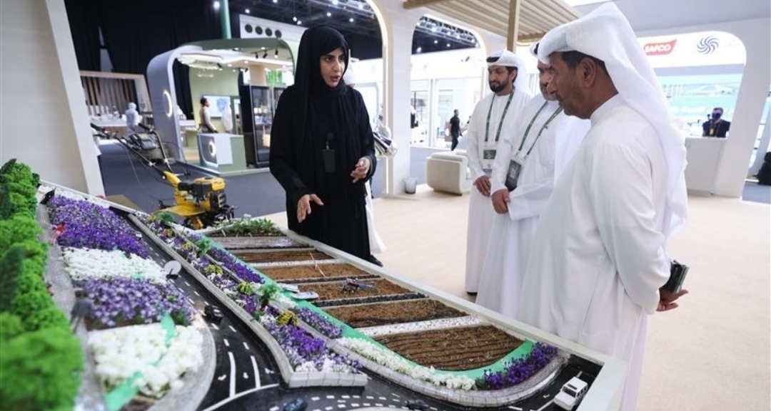 من الهجن إلى الزراعة الذكية.. كيف تدفع الشركات الناشئة اقتصاد العين نحو الرقمنة؟