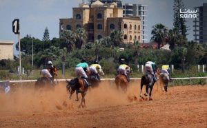 من سباقات الخيل السورية