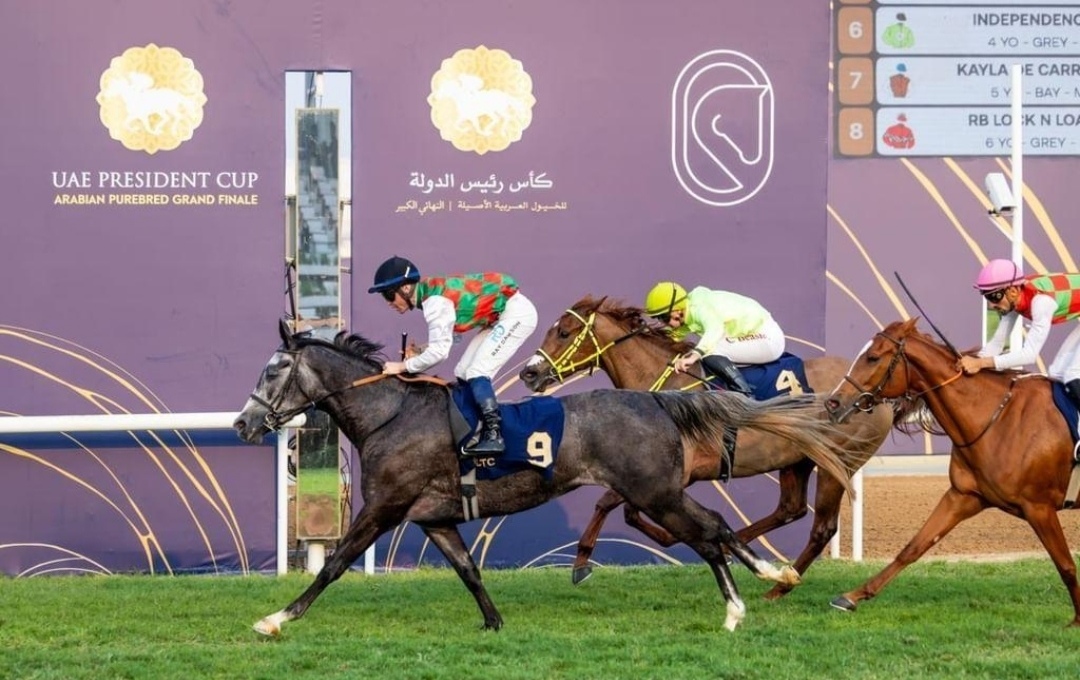 من تشرشل داونز إلى اللاذقية.. الخيل العربية تفتح محطة دولية جديدة في سوريا