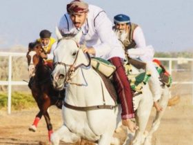بدية تفتتح موسم عرضة الهجن والخيل بـ18 فعالية مع انطلاق الموسم السياحي الشتوي