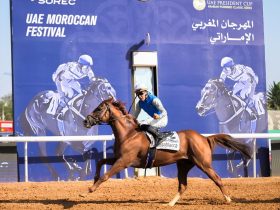 براق يتوج بكأس رئيس دولة الإمارات للخيول العربية في المغرب