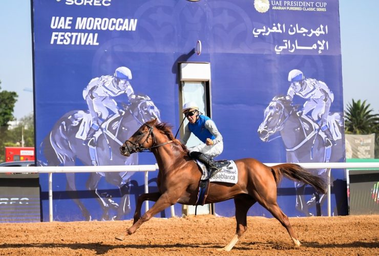 براق يتوج بكأس رئيس دولة الإمارات للخيول العربية في المغرب