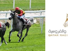 نادي قطر للسباق والفروسية يطلق مزاد خيل السباق(مزاد السوم) في الدوحة
