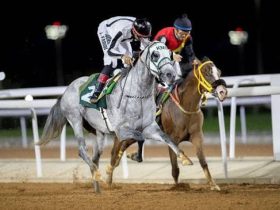كأس نادي سباقات الخيل للسرعة يتصدر أمسية الطائف الخامسة عشرة
