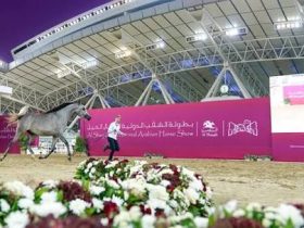 فتح باب التسجيل لبطولة الشقب الدولية لجمال الخيل العربية