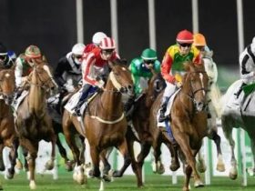 أمسية الملايين في الطائف.. انطلاق منافسات السرعة بجوائز تتجاوز 2.8 مليون ريال