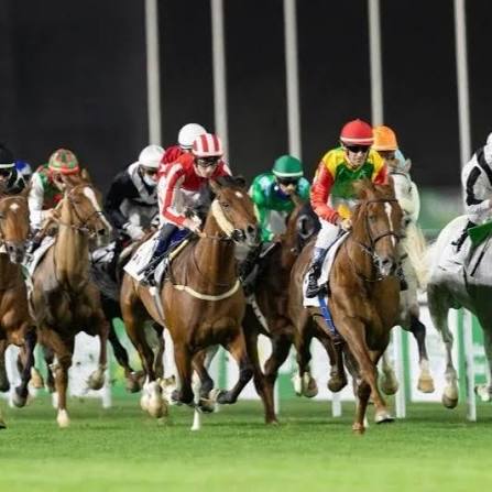 أمسية الملايين في الطائف.. انطلاق منافسات السرعة بجوائز تتجاوز 2.8 مليون ريال