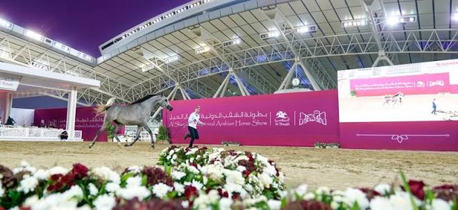 فتح باب التسجيل لبطولة الشقب الدولية لجمال الخيل العربية